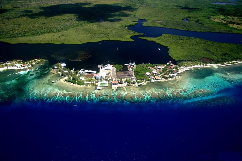 Coral View Beach Resort Utila Exterior photo