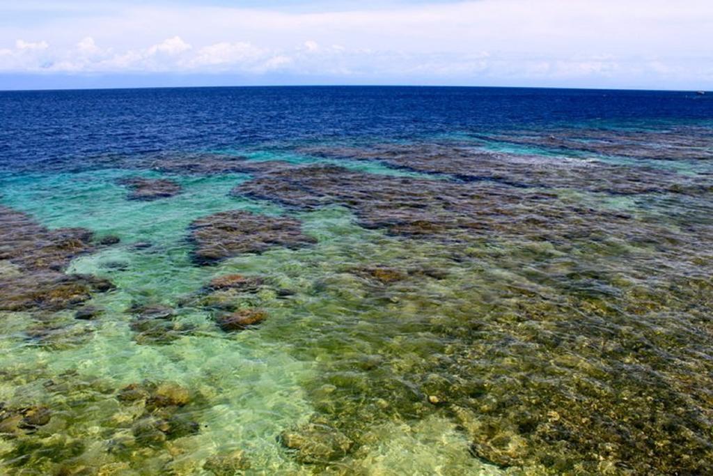 Coral View Beach Resort Utila Exterior photo